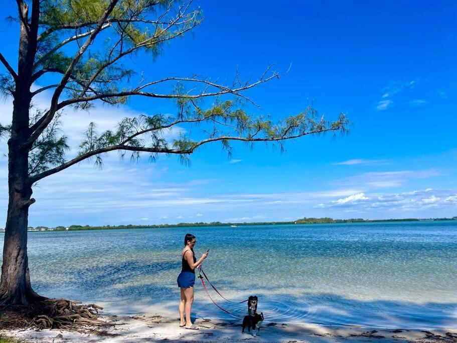 New Dog Paradise - Near The Beach Img & Downtown Брейдентон Екстер'єр фото